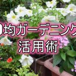 100均ガーデニング柵を使った目隠しや装飾の活用術