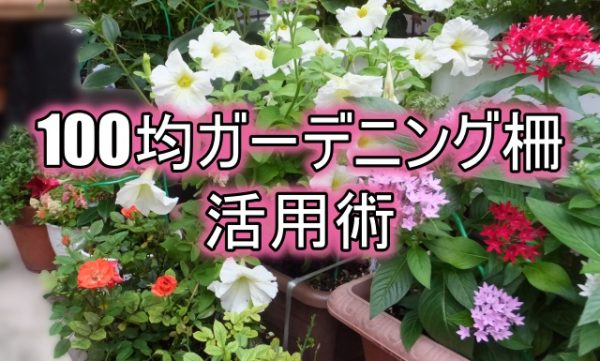 100均ガーデニング柵を使った目隠しや装飾の活用術