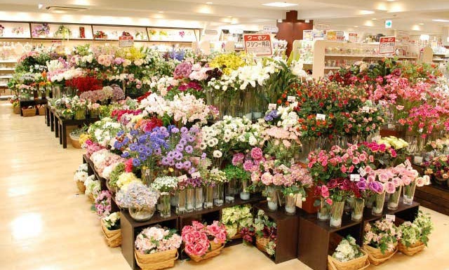 ユザワヤで揃う園芸グッズ