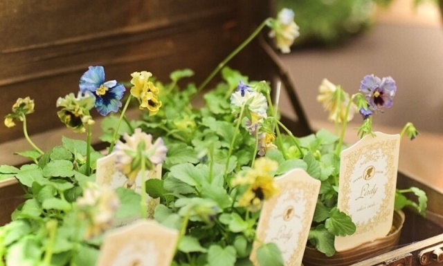 札幌ガーデニングブログで役立つ知識