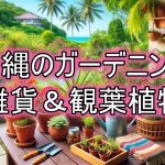 沖縄のガーデニング雑貨と観葉植物の選び方ガイド