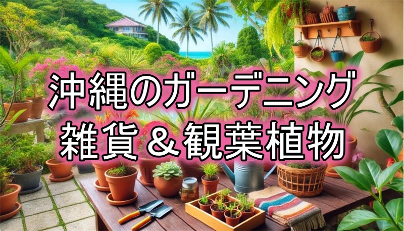 沖縄のガーデニング雑貨と観葉植物の選び方ガイド