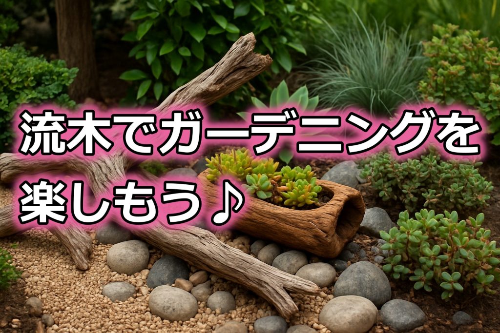 流木でガーデニングを楽しむための基本と注意点