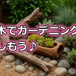 流木でガーデニングを楽しむための基本と注意点
